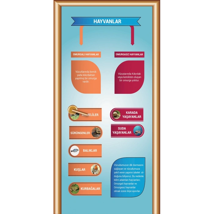 Hayvanlar Hücreler Kapı Giydirme 16