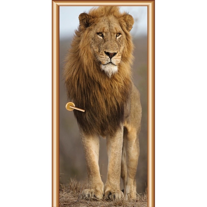 Hayvanlar Kapı Giydirme 19