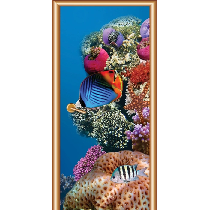 Hayvanlar Kapı Giydirme 23