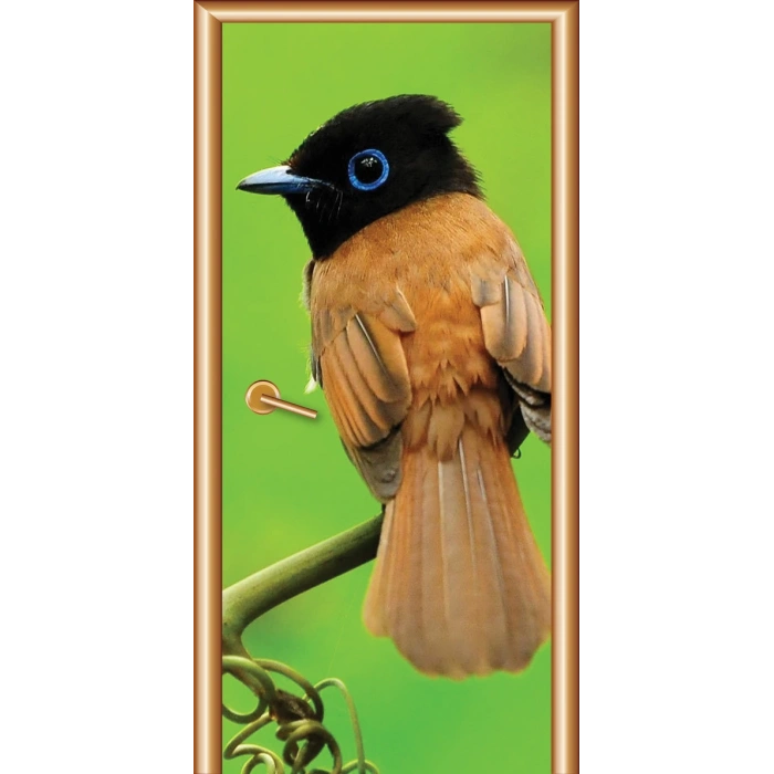 Hayvanlar Kapı Giydirme 24