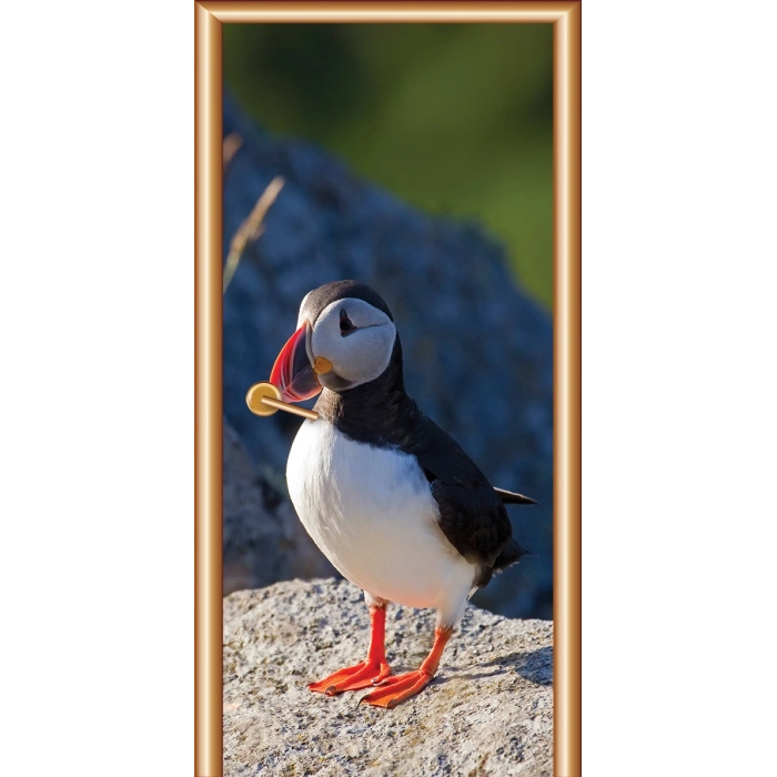 Hayvanlar Kapı Giydirme 25