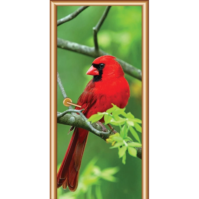 Hayvanlar Kapı Giydirme 26