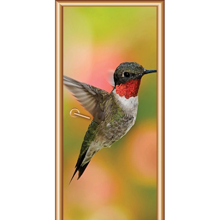 Hayvanlar Kapı Giydirme 29