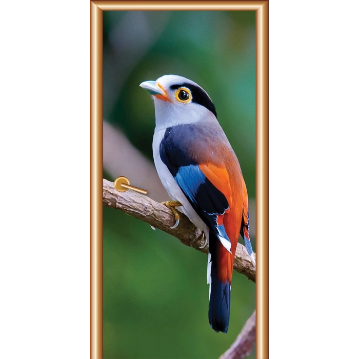 Hayvanlar Kapı Giydirme 30