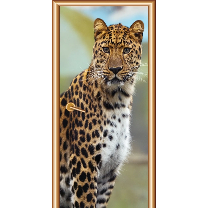 Hayvanlar Kapı Giydirme 31