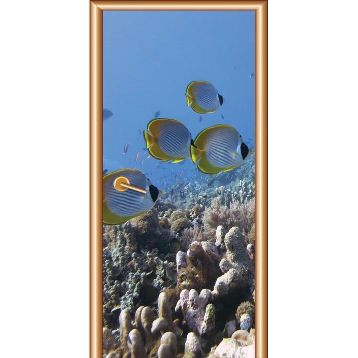 Hayvanlar Kapı Giydirme 33