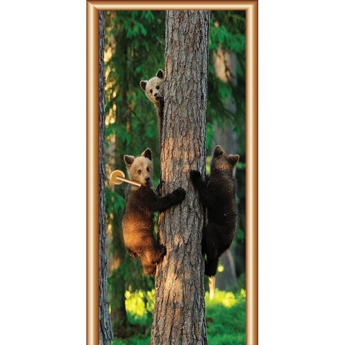 Hayvanlar Kapı Giydirme 34