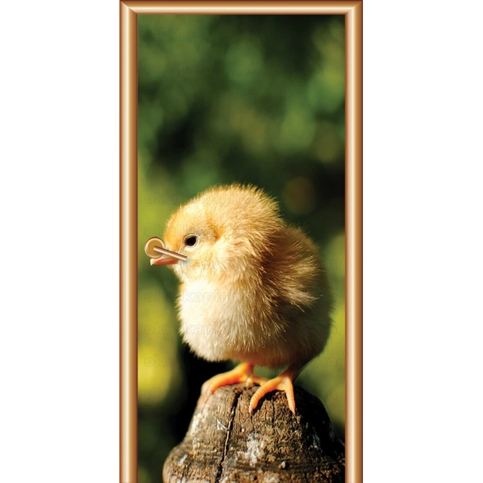 Hayvanlar Kapı Giydirme 35