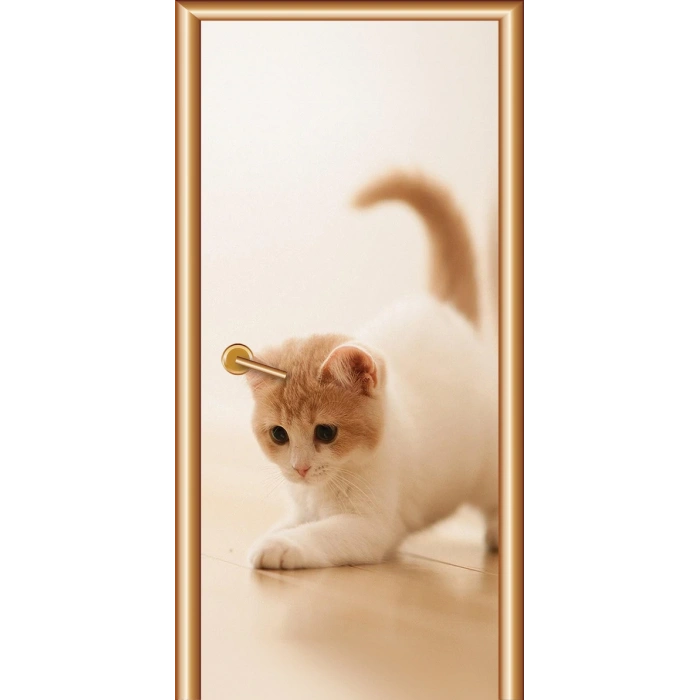 Hayvanlar Kapı Giydirme 36