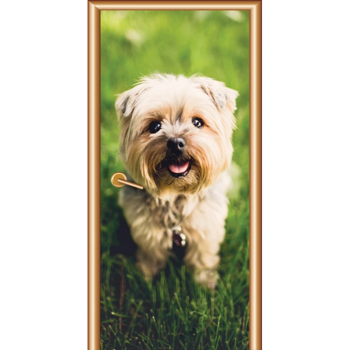 Hayvanlar Kapı Giydirme 37