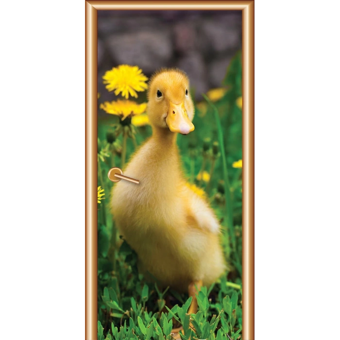 Hayvanlar Kapı Giydirme 38