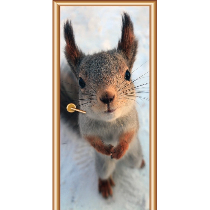 Hayvanlar Kapı Giydirme 40