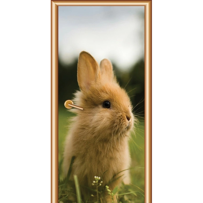 Hayvanlar Kapı Giydirme 41