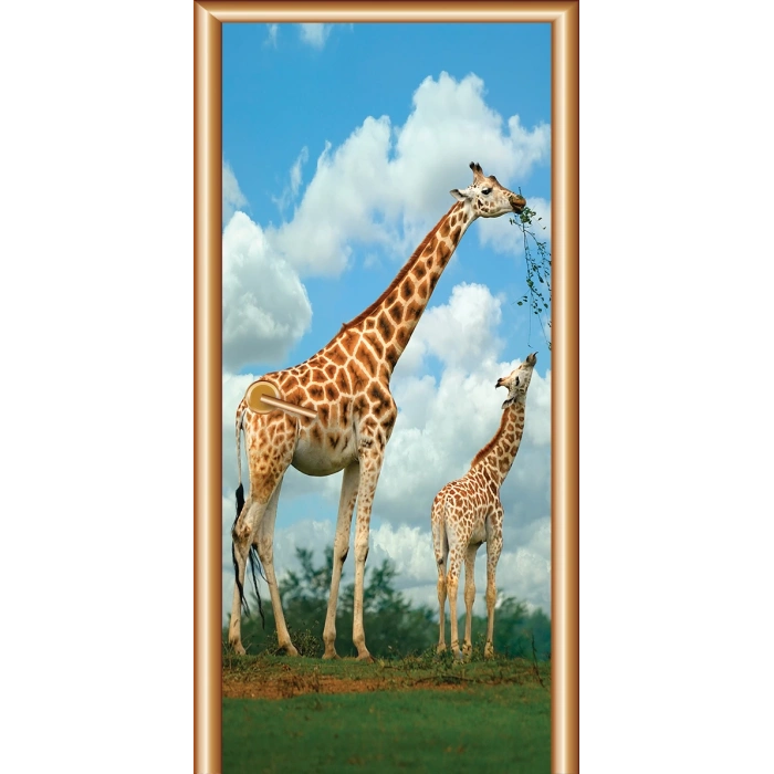 Hayvanlar Kapı Giydirme 42