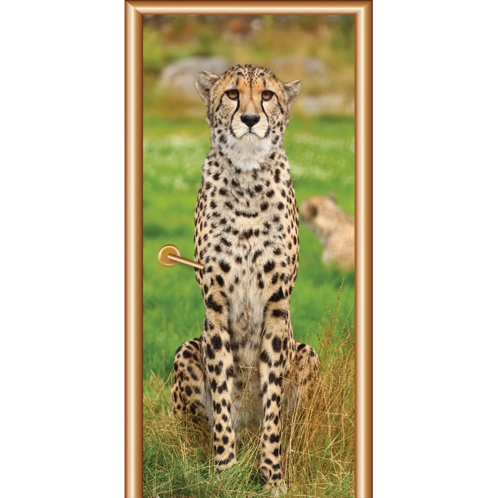 Hayvanlar Kapı Giydirme 46