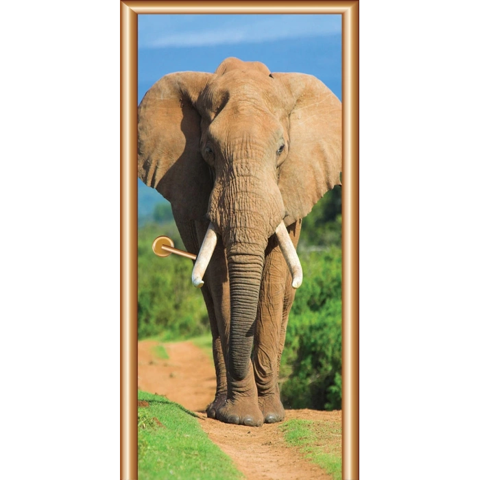 Hayvanlar Kapı Giydirme 47