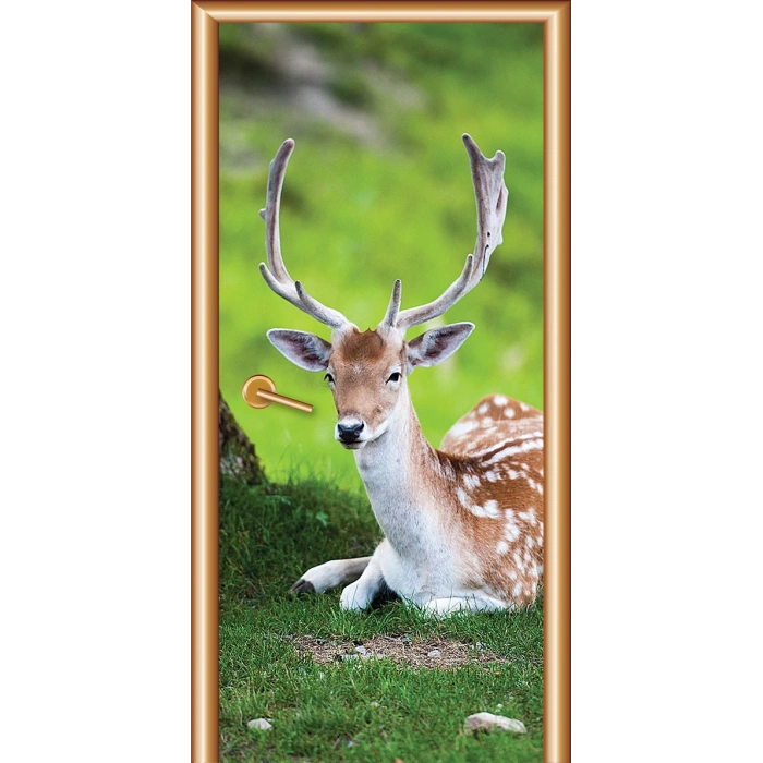 Hayvanlar Kapı Giydirme 48