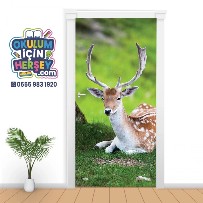 Hayvanlar Kapı Giydirme 48