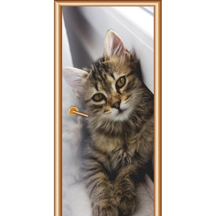 Hayvanlar Kapı Giydirme 50