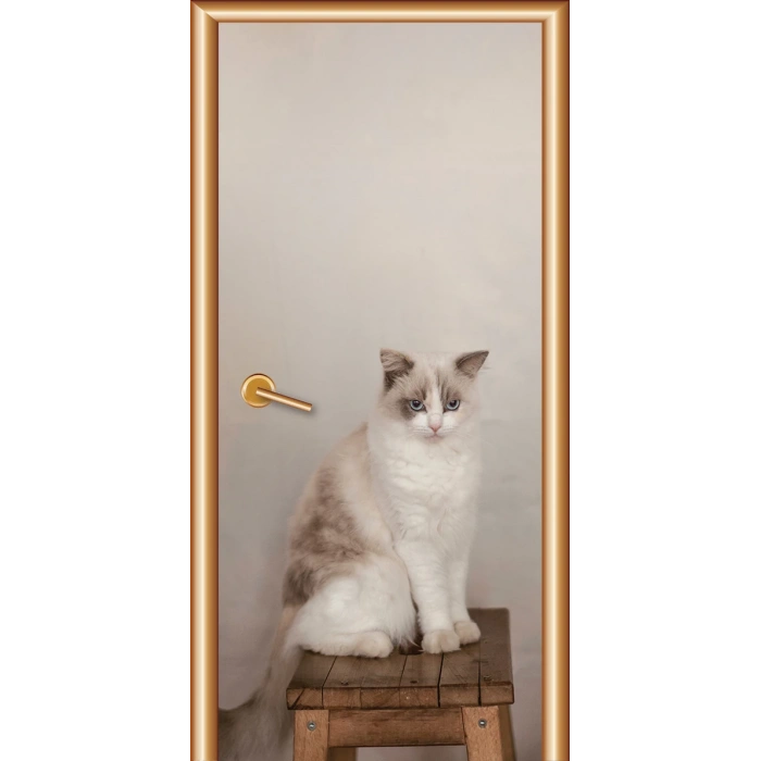 Hayvanlar Kapı Giydirme 51