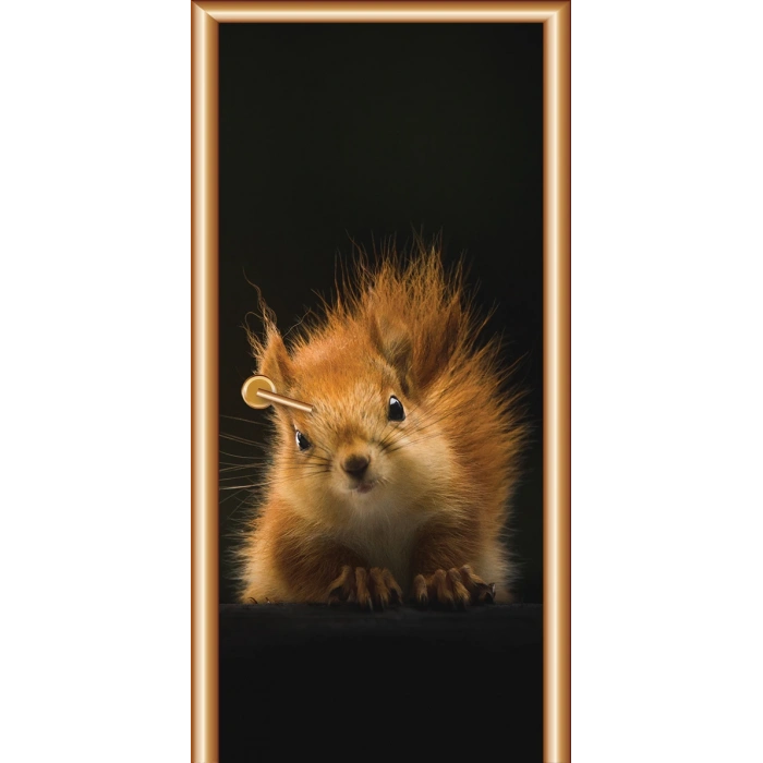 Hayvanlar Kapı Giydirme 52