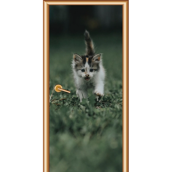 Hayvanlar Kapı Giydirme 53