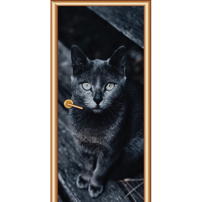 Hayvanlar Kapı Giydirme 54