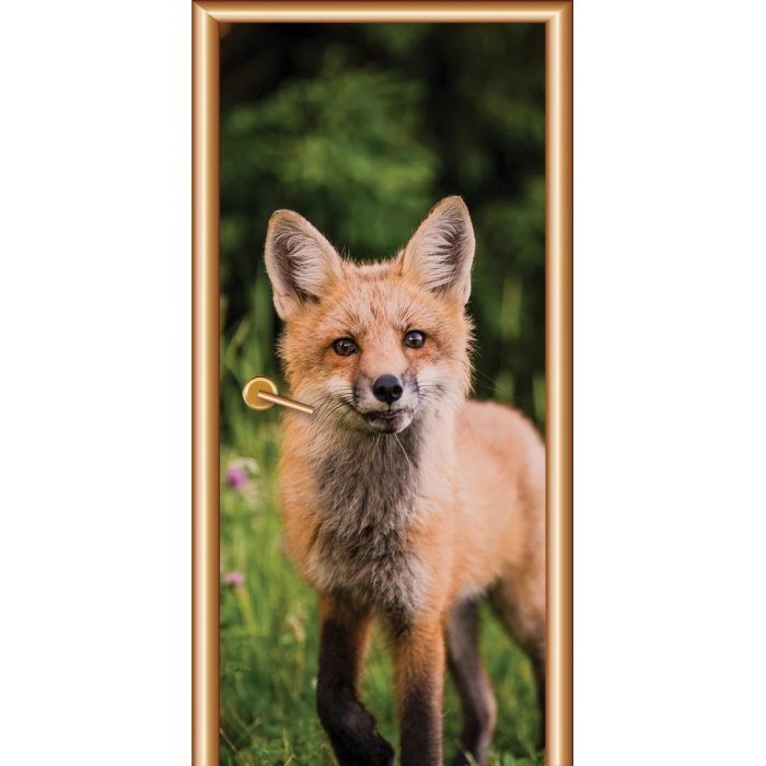 Hayvanlar Kapı Giydirme 55