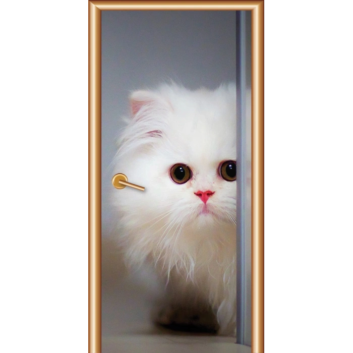 Hayvanlar Kapı Giydirme 56