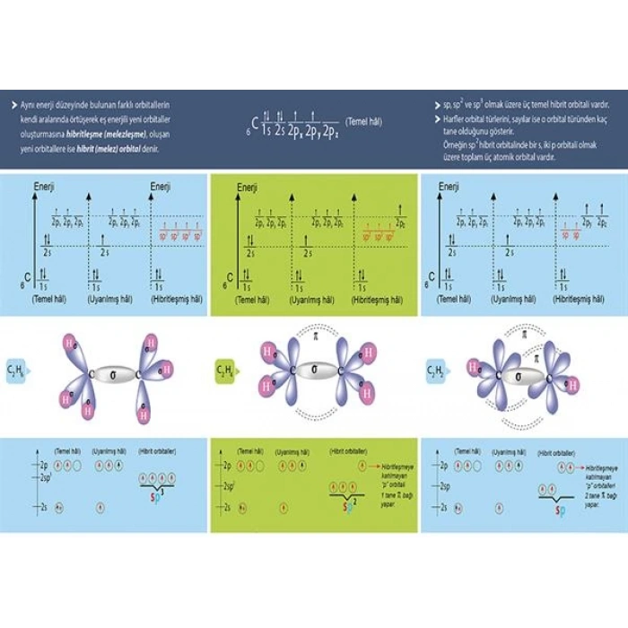 Hibritleşme P KİM 08