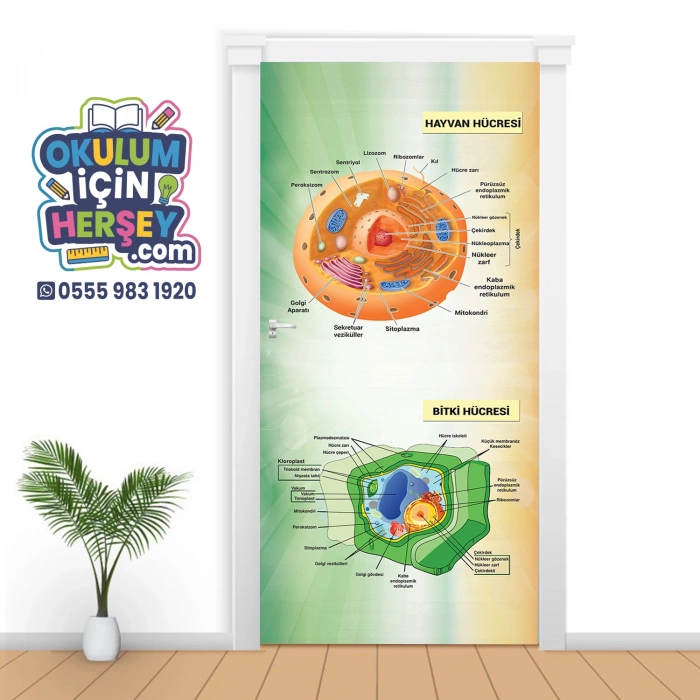 Hücreler Kapı Giydirme 10