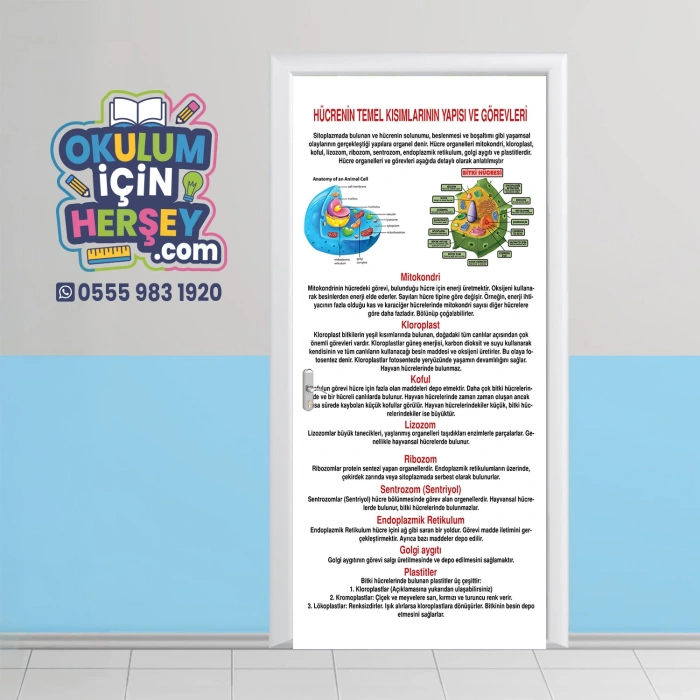 Hücreler Kapı Giydirme 12