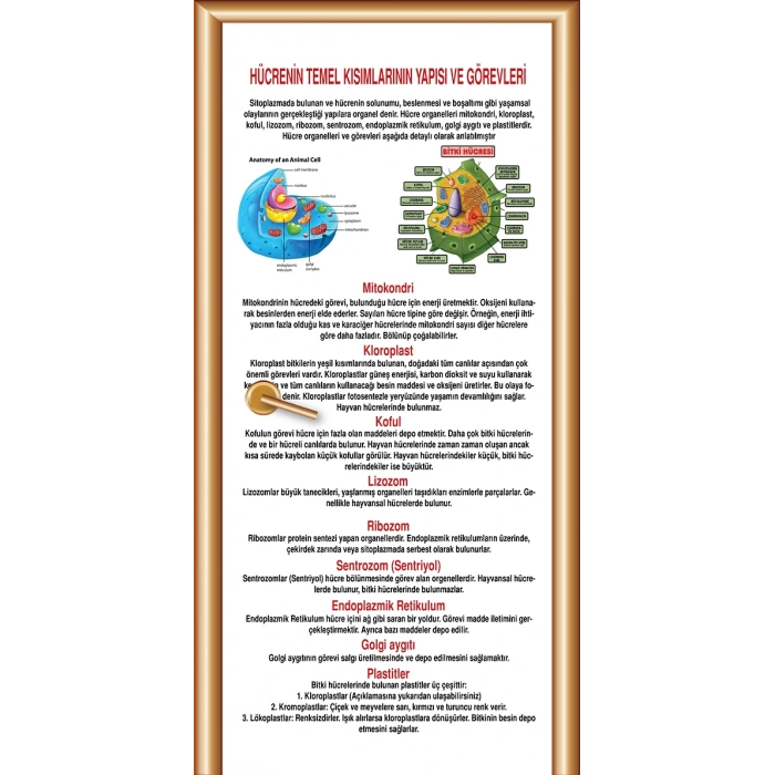 Hücreler Kapı Giydirme 12