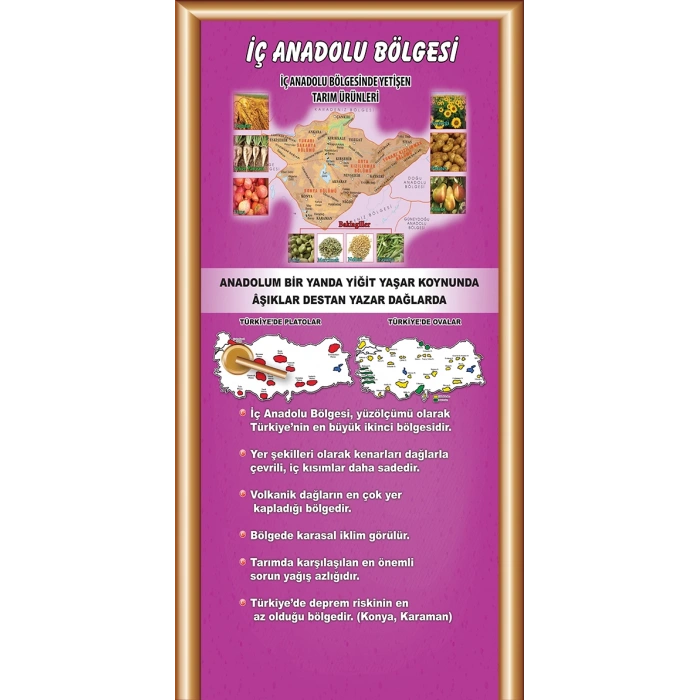 İç Anadolu Bölgesi Kapı Giydirme 18