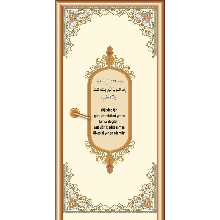 İmam Hatip Kapı Giydirme 59