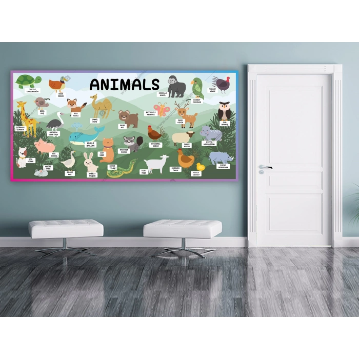 İngilizce Hayvanlar DG İN 12