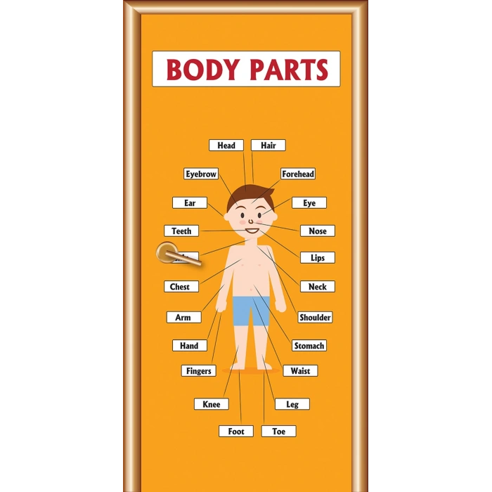 İngilizce Kapı Giydirme 10