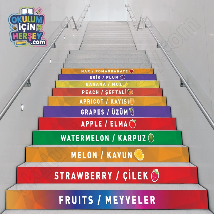 İngilizce Meyveler MB 006