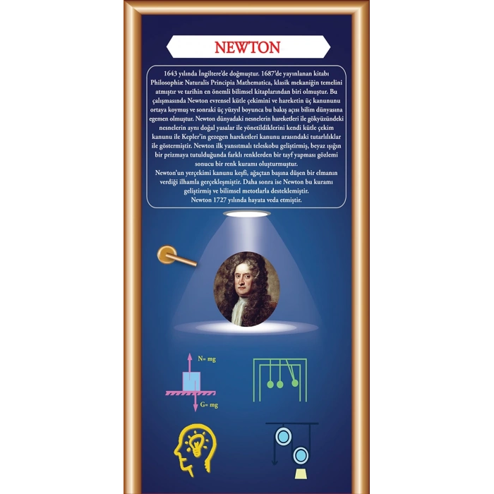 Isaac Newton Kapı Giydirme 44