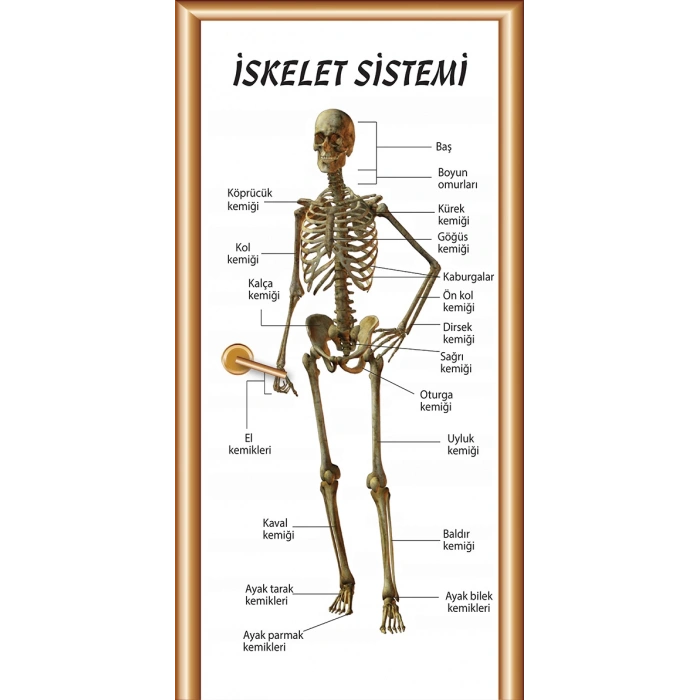 İskelet Sistemi Kapı Giydirme 04