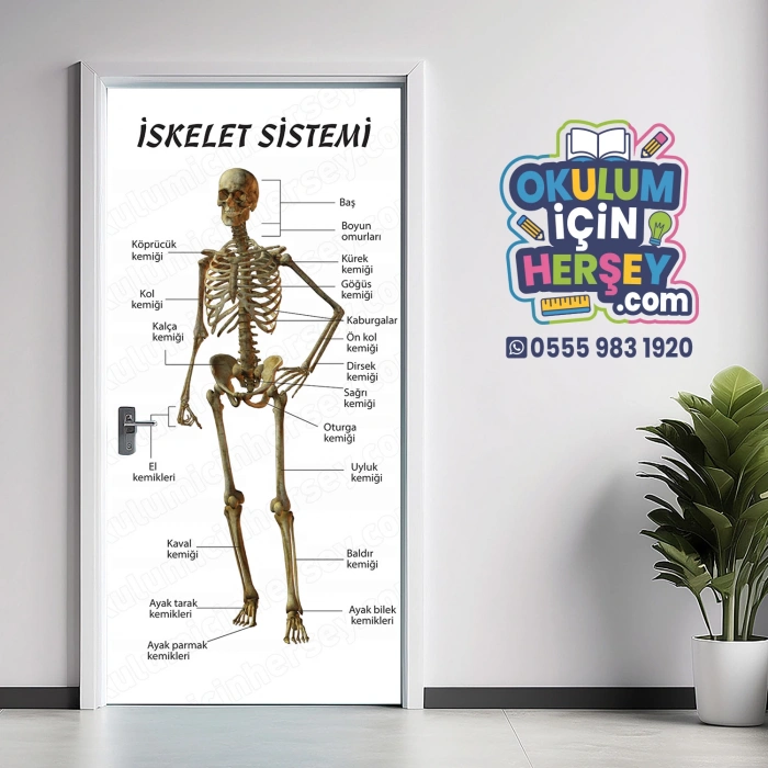 İskelet Sistemi Kapı Giydirme 04