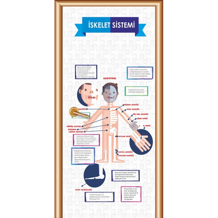 İskelet Sistemi Kapı Giydirme 06