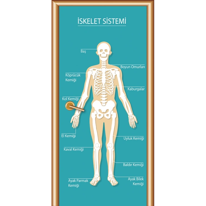 İskelet Sistemi Kapı Giydirme 13