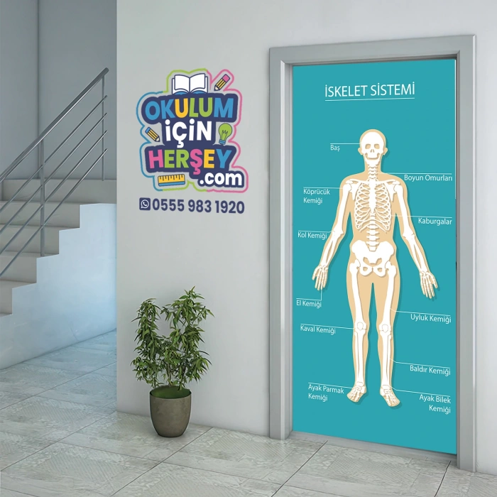 İskelet Sistemi Kapı Giydirme 13