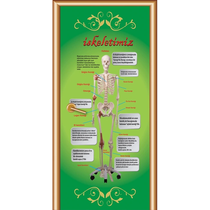 İskeletimiz Kapı Giydirme 02