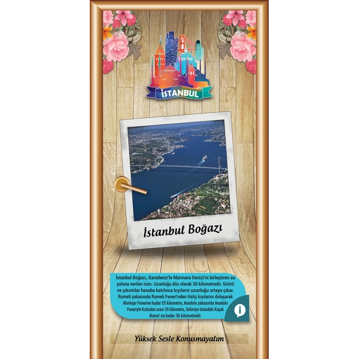 İstanbul Boğazı Kapı Giydirme 05