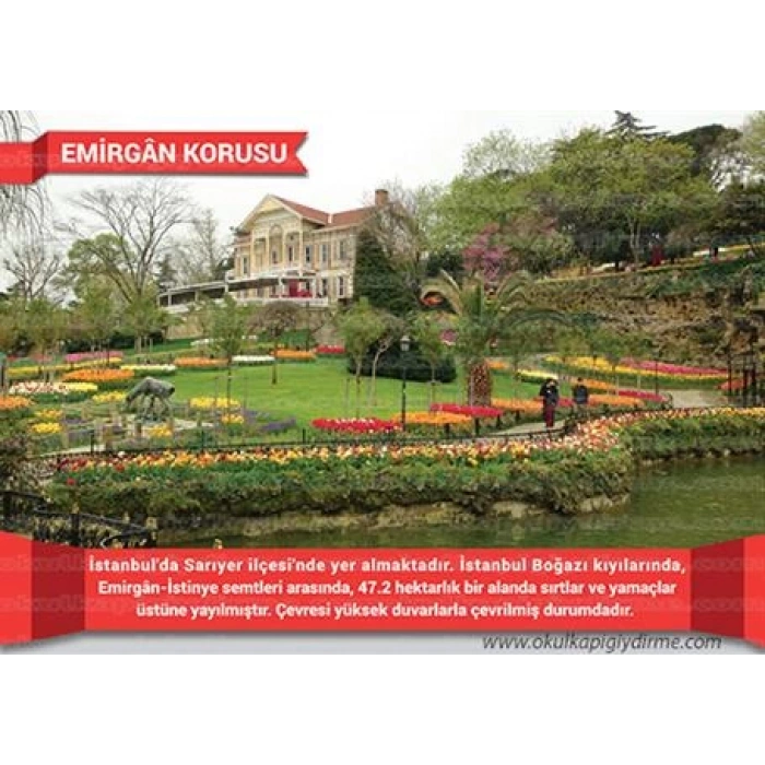 Istanbuldan Kareler P İK 15