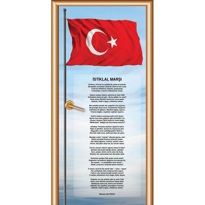İstiklal Marşı Kapı Giydirme 22