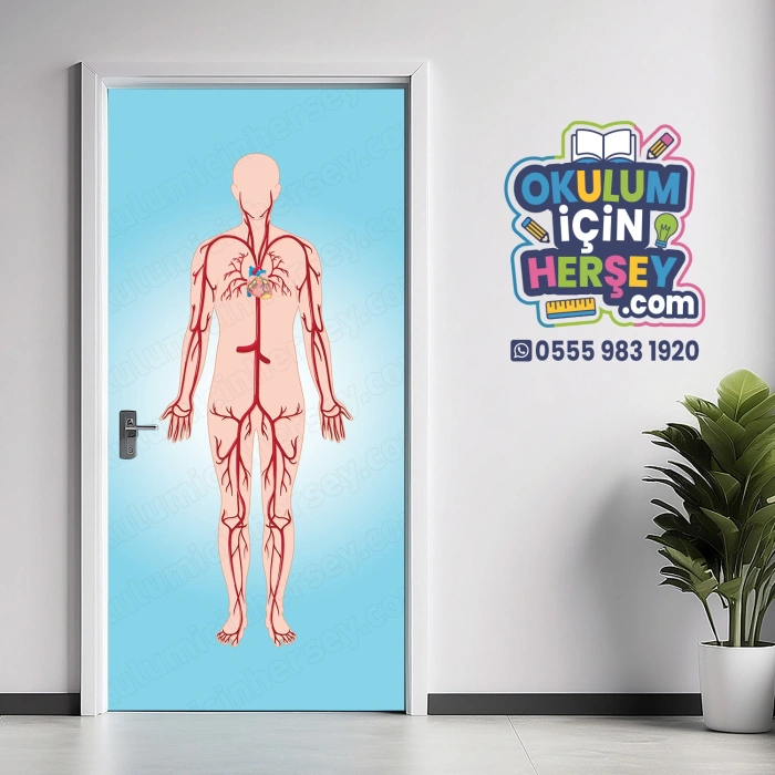 Kan Dolaşımı Kapı Giydirme 20