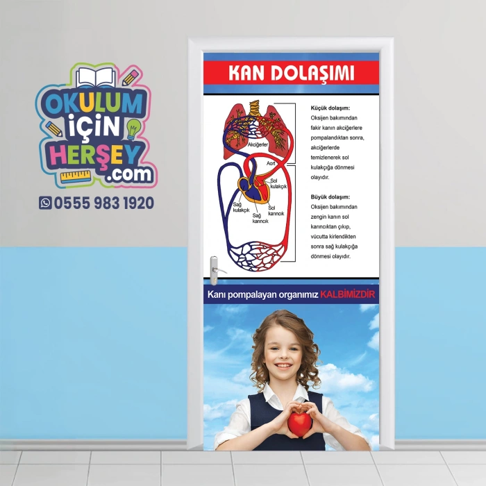 Kan Dolaşımı Kapı Giydirme 23